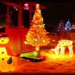 Jardin de Noel 2