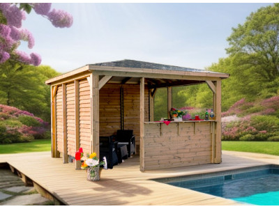 Pool House bluetherm  structure en bois / 2 parois avec ventelles mobiles / 2 parois avec comptoir / toit en panne