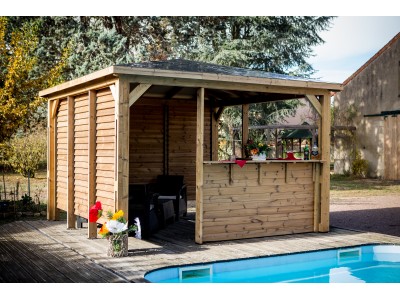 Pool House bluetherm  structure en bois / 2 parois avec ventelles mobiles / 2 parois avec comptoir / toit en panne