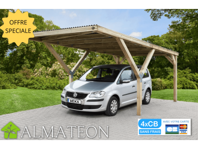 Carport 300 x 362 x 250 cm en Y simple pour voiture avec toit en PVC