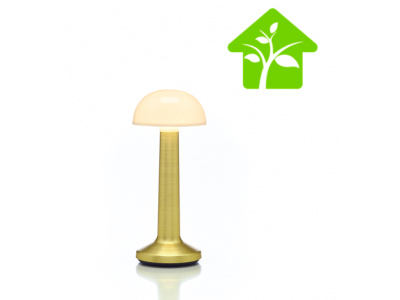 Lampe de table à LED DOME SABLE OR IMAGILIGHTS sans fil avec chargement direct