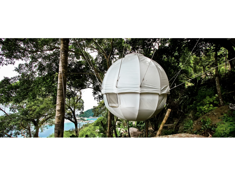 Nouveau insolite votre Cocoon Tree Bed une chambre en plus ...