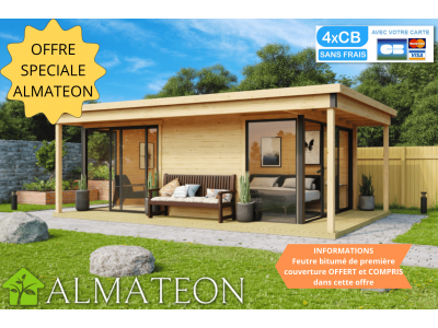 Abri de jardin 15,37 m2 DOMEO 3 PLUS V2 609 x 422 x 239 cm avec terrasse couverte de 6,75 m2 en bois epicea Garanti