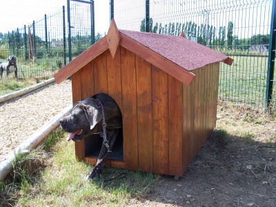 Niche en bois Neils pour gros chien 1,17m2, très grande taille